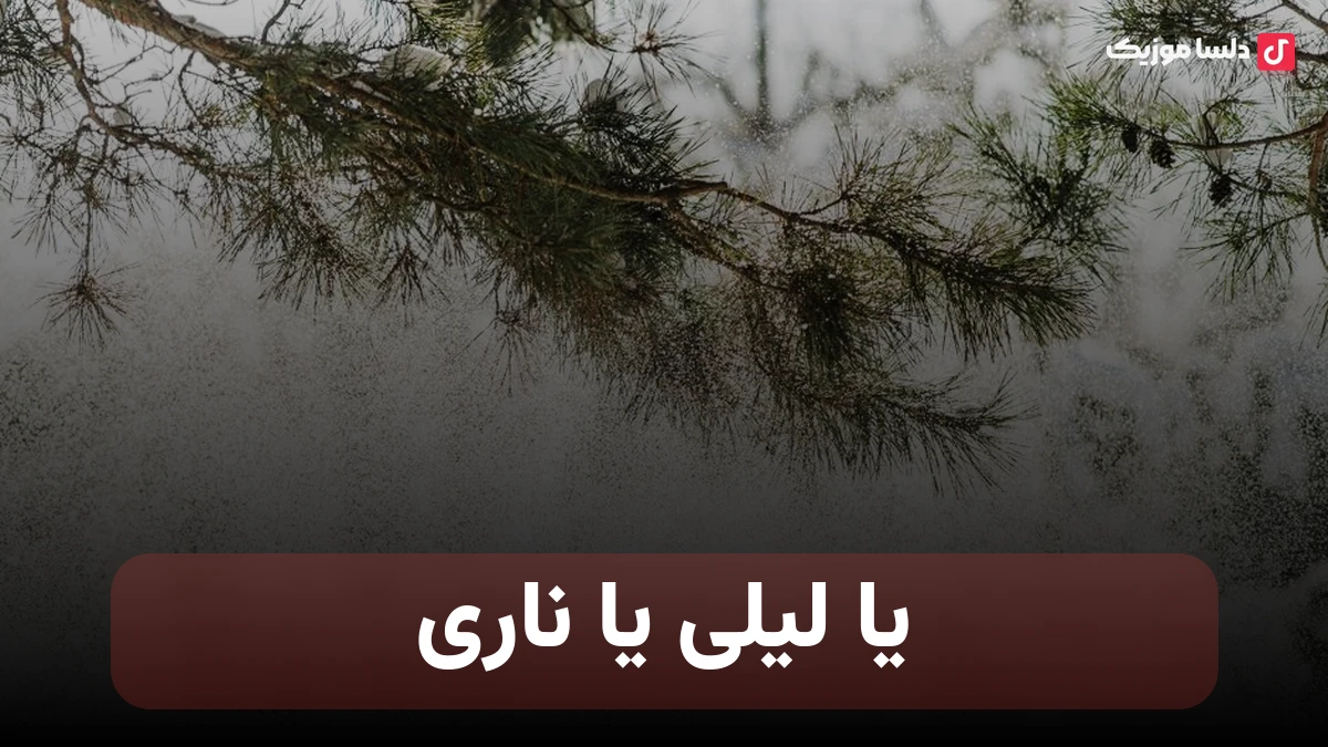یا لیلی یا ناری نجوا ساد و پیمان خسروی